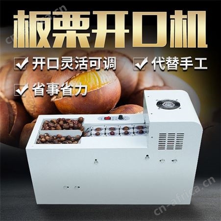 板栗开口机商用全自动链板式切口机栗子划口机小型电动板栗割口机