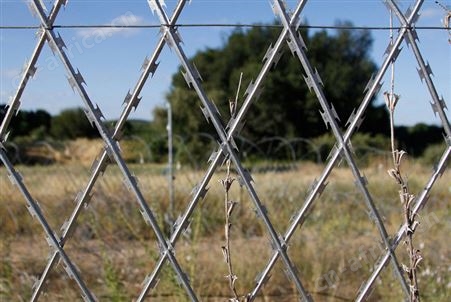 Cross type razor barbed wire panel