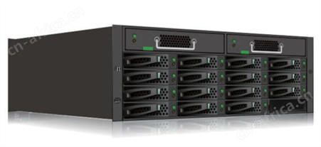 存储DS800系列