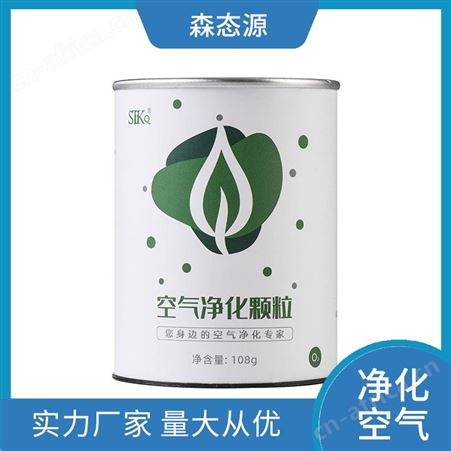 除甲醛空气净化颗粒新房装修除醛除味森态源洁净自然家庭鞋柜用