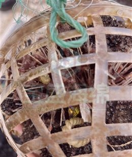 销售聚氨酯海绵填料生产