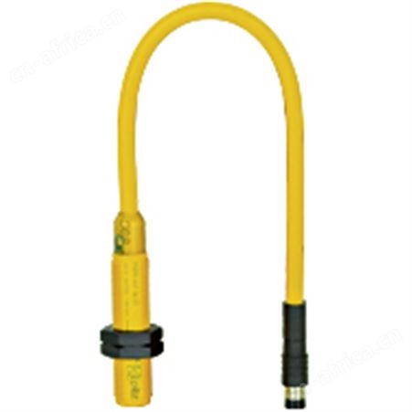PSEN ma1.3p-20/1switchPSEN ma1.3p-20/1switch