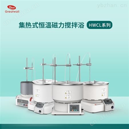 实验室恒温磁力搅拌浴公司