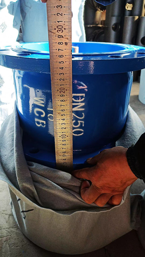 消声止回阀碳钢定制 消声止回阀碳钢定制