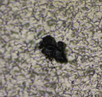 晶振频率及/或电阻跳变引发开机不良原因分析